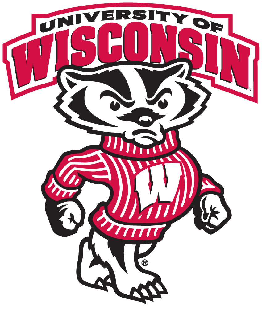 Wisconsin Badgers 2003-2017 Secondary Logo iron on transfers for T-shirts